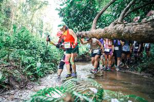 BIB: 
                            <button type="button" onclick="openModal(25470920)" class="btn btn-primary btn-sm float-right btn-popup" data-toggle="modal" data-target=".modal-high-quality">
                        <i class="fas fa-shopping-cart"></i> Add to Cart
                    </button>
                                            <button type="button" onclick="isThisMe(25470920, true)" class="btn btn-success btn-sm float-right btn-popup btn-isme hidden" data-toggle="tooltip" data-placement="bottom" title="นี่คือรูปของคุณใช่ไหม คลิกที่นี่เพื่อเอาเข้าอัลบั้ม">
                        <i class="fas fa-plus"></i> Add to album
                    </button>
                    <button type="button" onclick="isThisMe(25470920, false)" class="btn btn-warning btn-sm float-right btn-popup btn-isnotme hidden">
                        <i class="fas fa-ban"></i> Remove from album
                    </button>